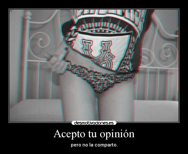 Acepto tu opinión - pero no la comparto.