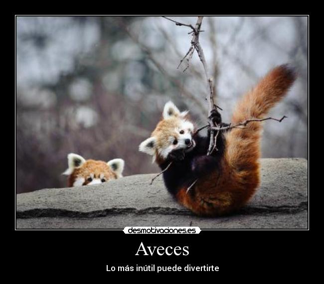 Aveces - 