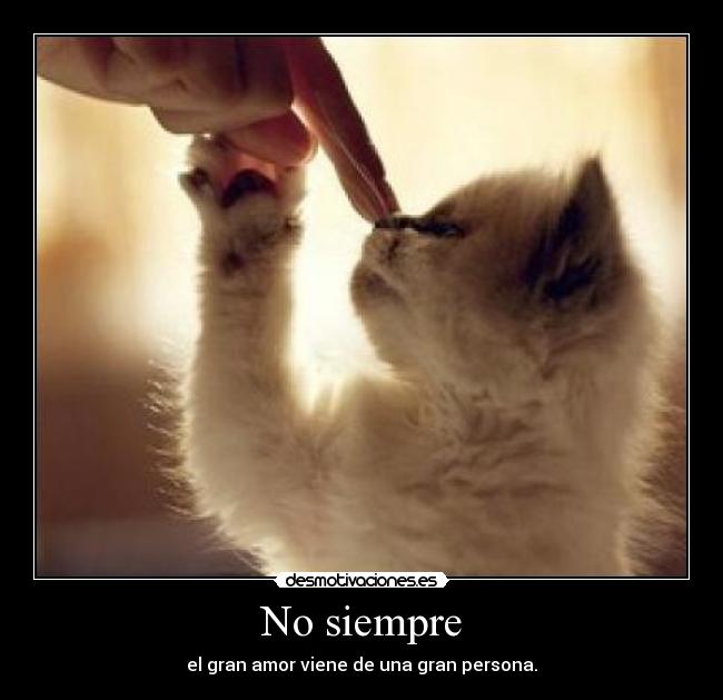 No siempre - 