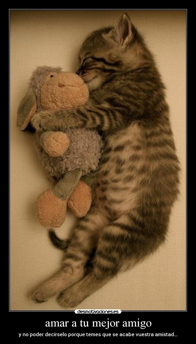 amar a tu mejor amigo - 