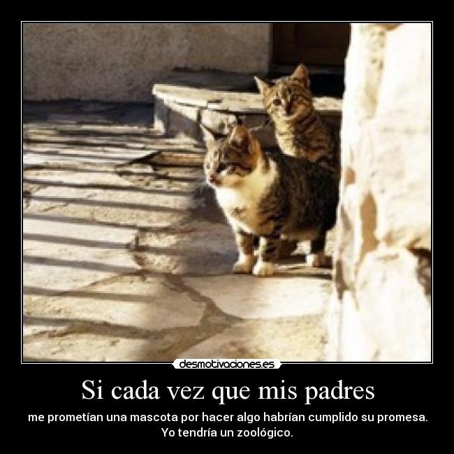 Si cada vez que mis padres - me prometían una mascota por hacer algo habrían cumplido su promesa.
Yo tendría un zoológico.