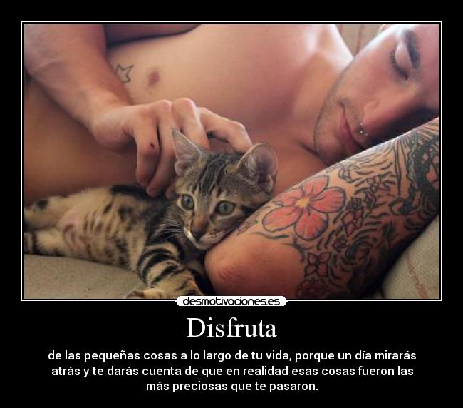 Disfruta -