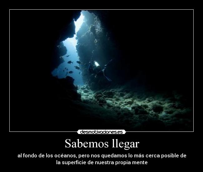 carteles mireeen una personita buceando modo serio off desmotivaciones