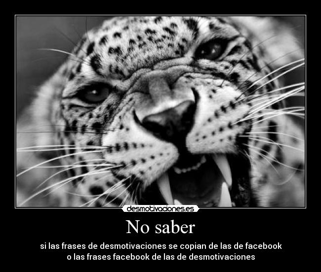No saber - si las frases de desmotivaciones se copian de las de facebook
o las frases facebook de las de desmotivaciones