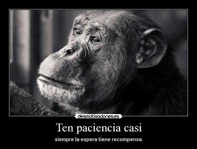Ten paciencia casi - siempre la espera tiene recompensa.