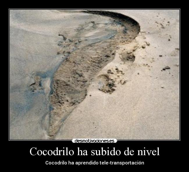 Cocodrilo ha subido de nivel - Cocodrilo ha aprendido tele-transportación