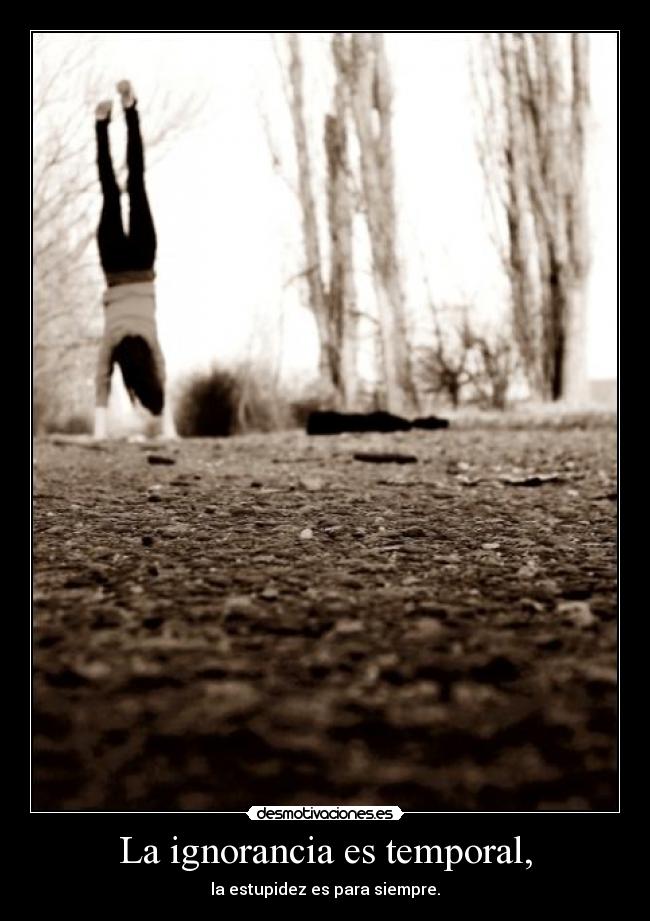 La ignorancia es temporal, -