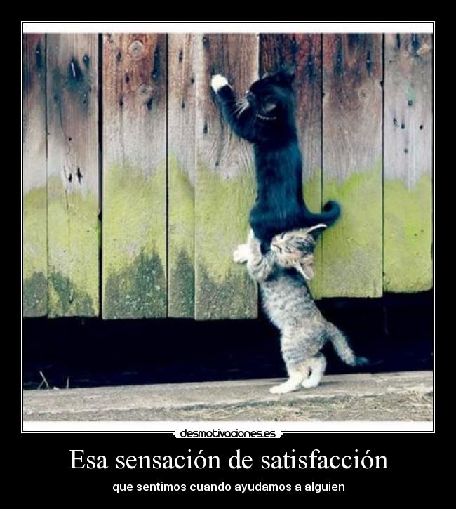Esa sensación de satisfacción -