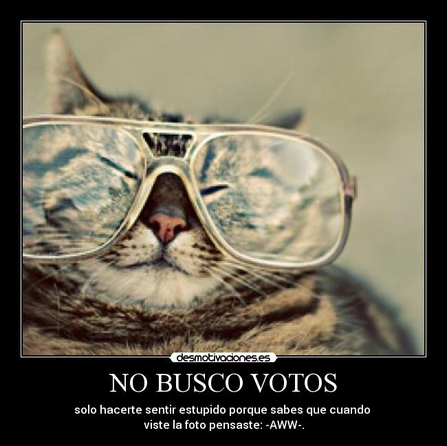 NO BUSCO VOTOS - 