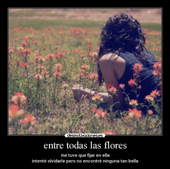 entre todas las flores - me tuve que fijar en ella
intenté olvidarle pero no encontré ninguna tan bella