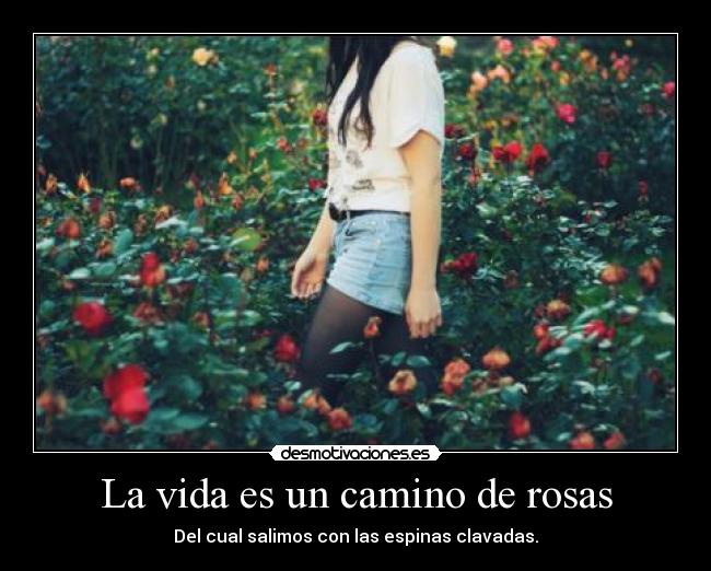 La vida es un camino de rosas - Del cual salimos con las espinas clavadas.