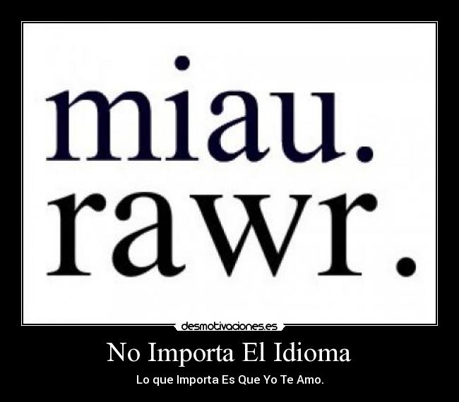 carteles idioma idioma importa desmotivaciones