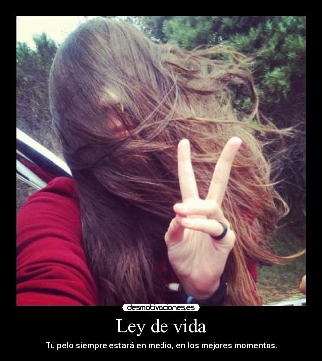 Ley de vida - Tu pelo siempre estará en medio, en los mejores momentos.