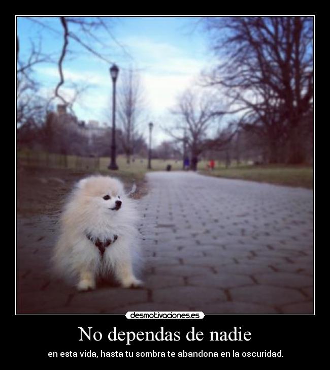 No dependas de nadie -