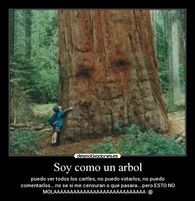Soy como un arbol - 