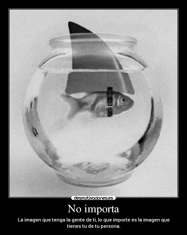 No importa - 