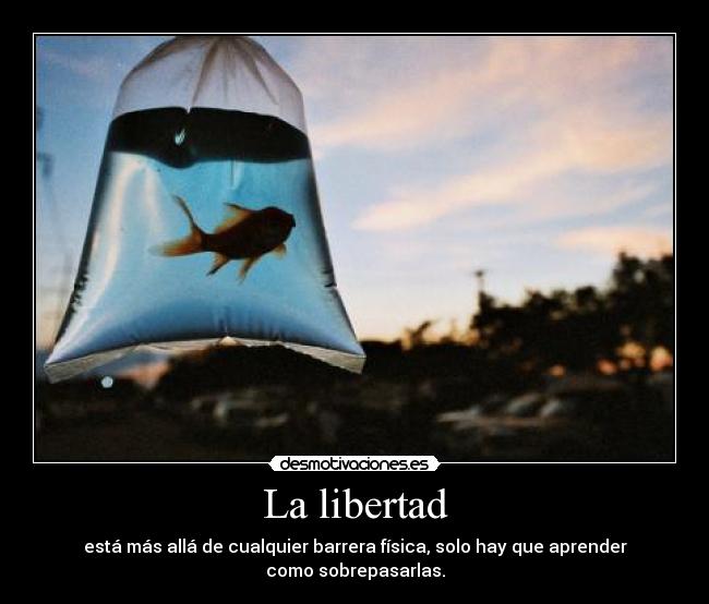 La libertad - está más allá de cualquier barrera física, solo hay que aprender como sobrepasarlas.