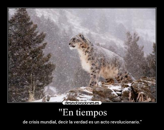 carteles gustan los felinos por habeis notado lagrimas cristal labelstagsandstuff desmotivaciones
