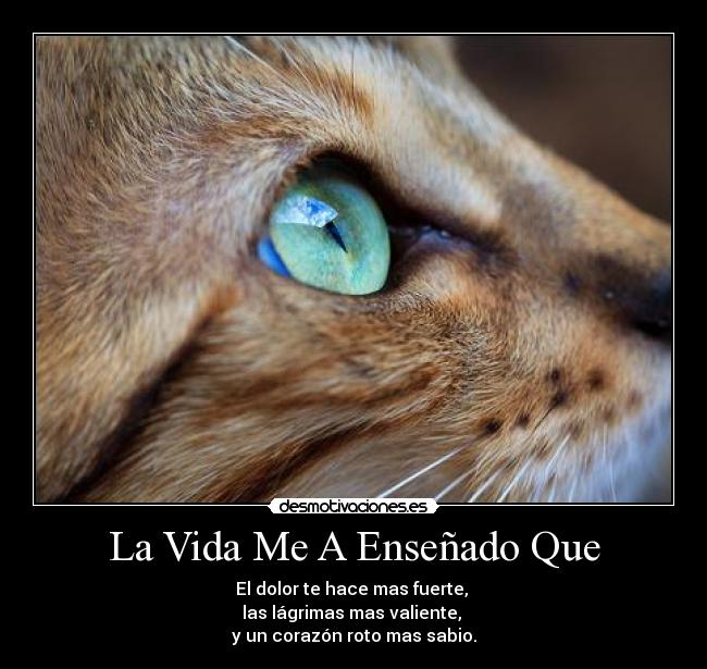 La Vida Me A Enseñado Que - El dolor te hace mas fuerte,
las lágrimas mas valiente,
y un corazón roto mas sabio.