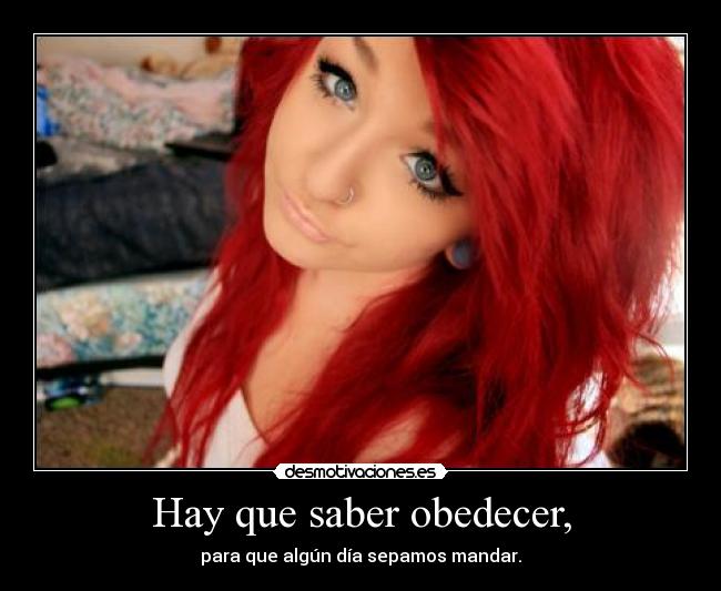 carteles davor safth 123 cartel resubido plagio por dios denuncien vean ultimo cartel desmotivaciones