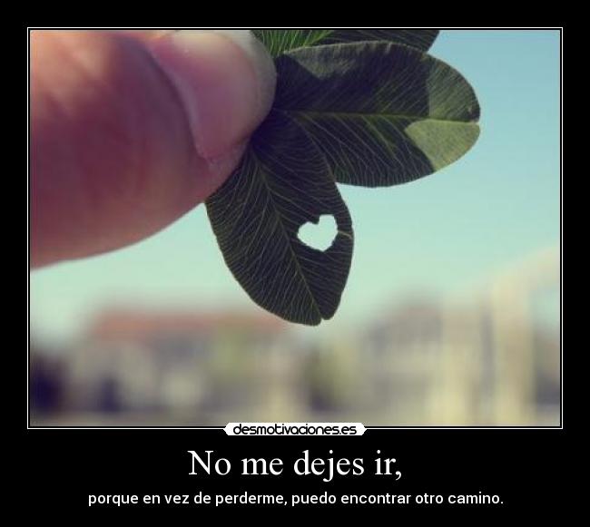 No me dejes ir, - porque en vez de perderme, puedo encontrar otro camino.