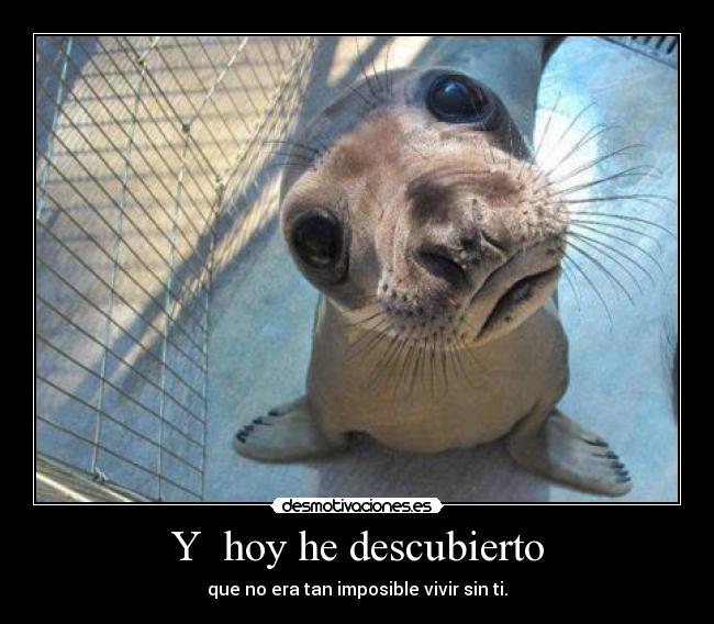 Y hoy he descubierto - que no era tan imposible vivir sin ti.