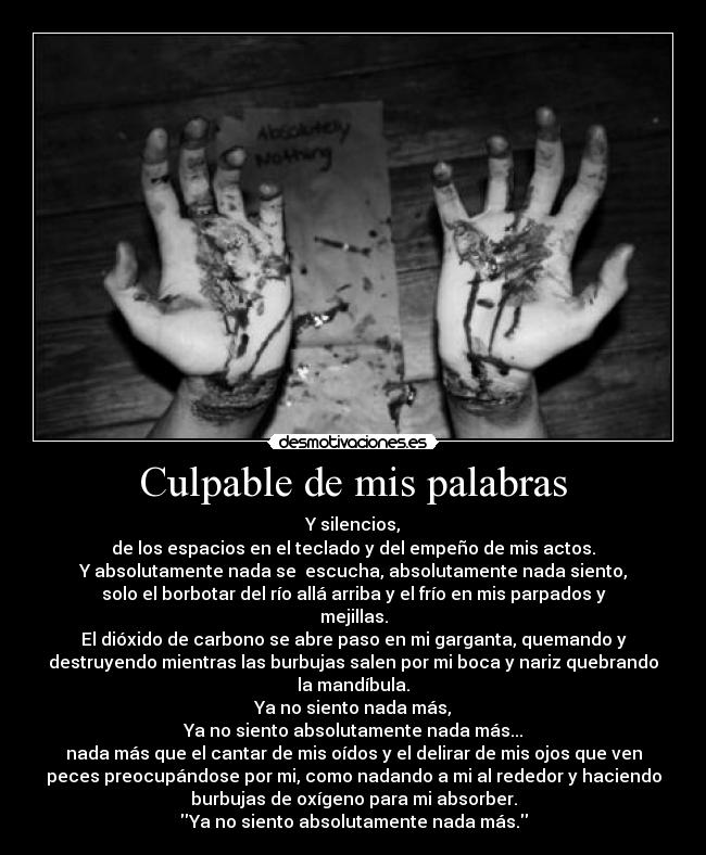 Culpable de mis palabras - 