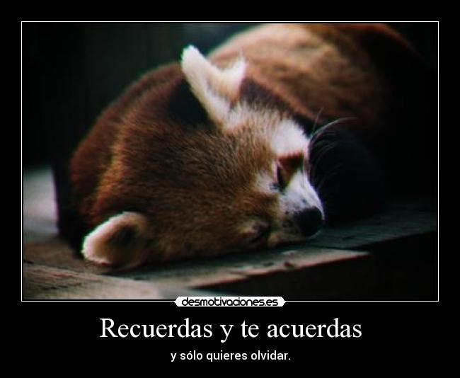 Recuerdas y te acuerdas -