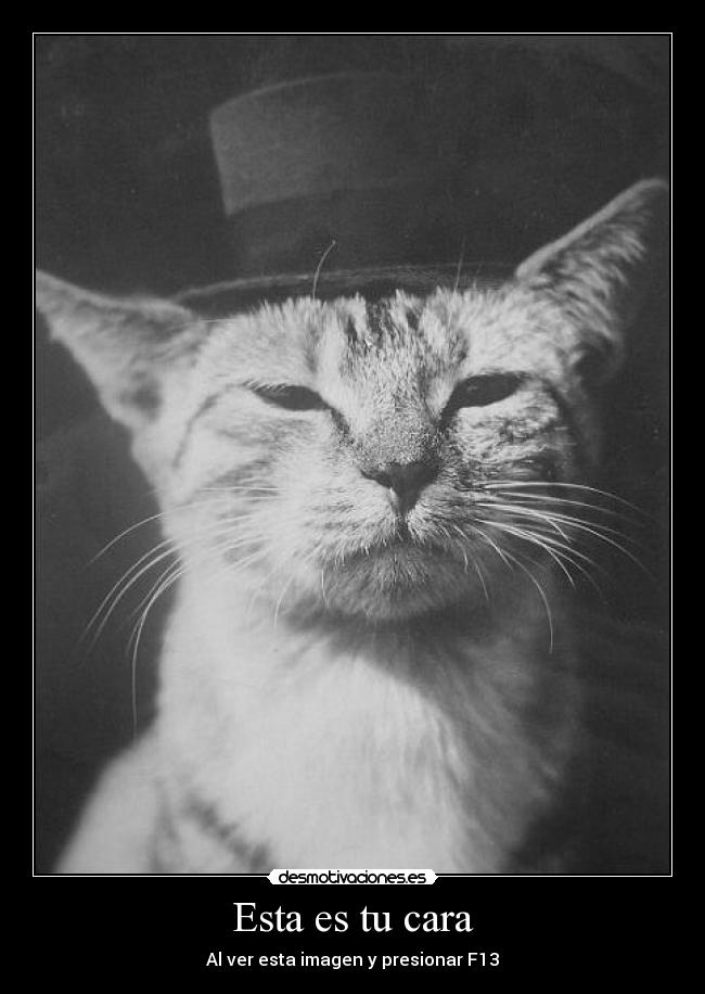 Esta es tu cara - Al ver esta imagen y presionar F13