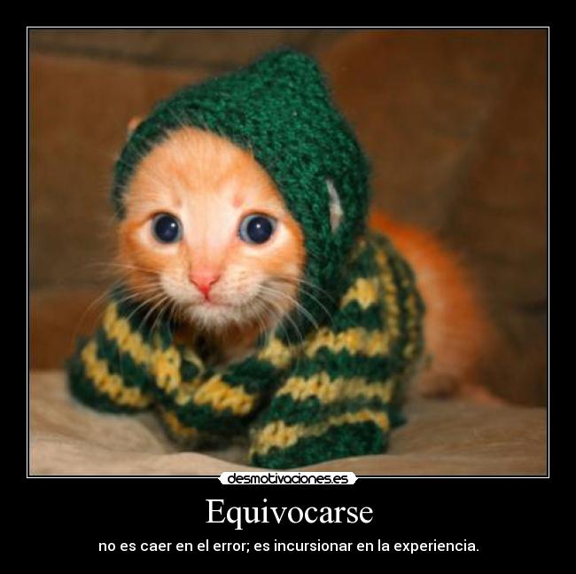 carteles si dio por los gatos tagslabelsandstuff lagrimas cristal desmotivaciones