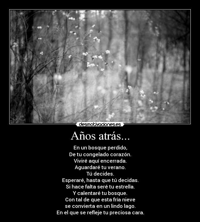 carteles love like winter janette kagamine desmotivaciones