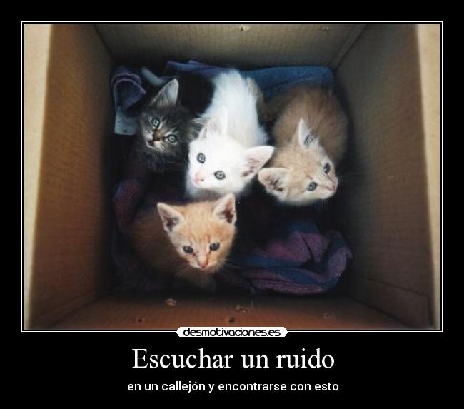 Escuchar un ruido - 