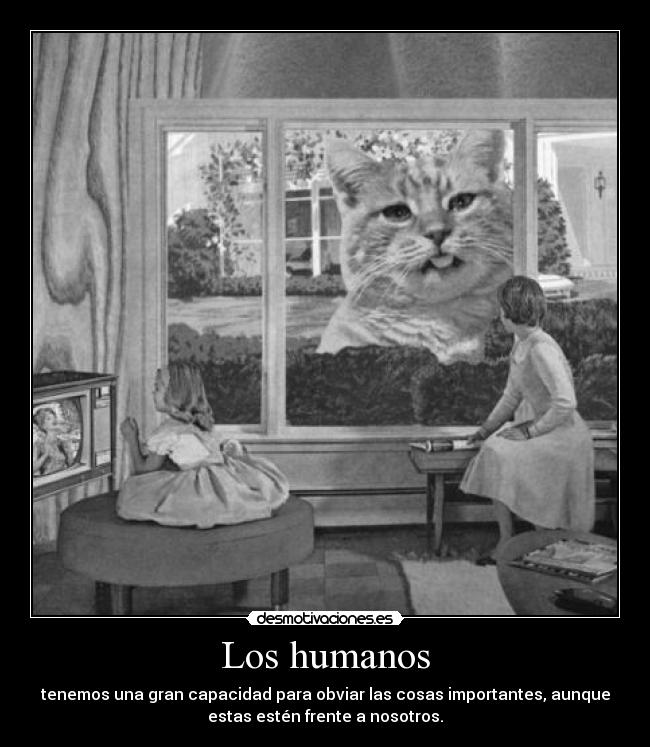 carteles resubido gatosgigante lagrimas cristal labelstagsandstuff etiqueta desmotivaciones