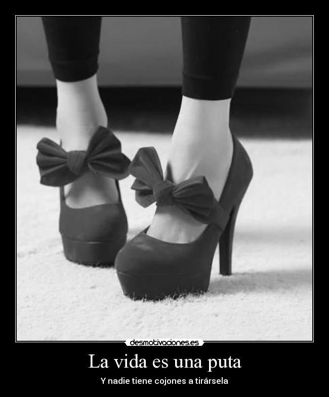 carteles vida neptun4 desmotivaciones