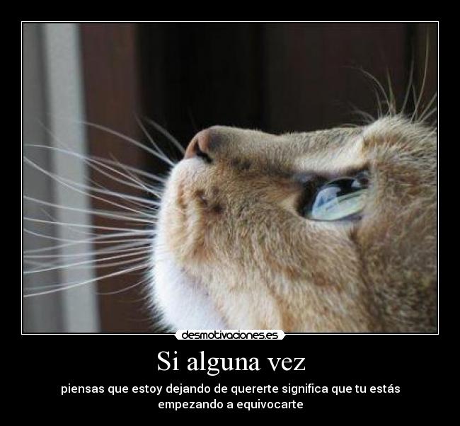 Si alguna vez - piensas que estoy dejando de quererte significa que tu estás empezando a equivocarte