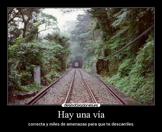 Hay una vía - correcta y miles de amenazas para que te descarriles.