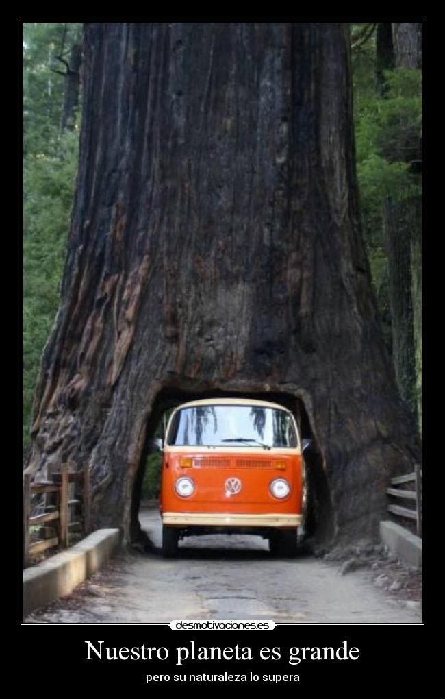 carteles sigueme twitter cuenta lgns desmotivaciones