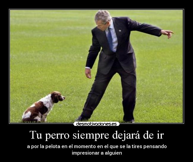 Tu perro siempre dejará de ir - a por la pelota en el momento en el que se la tires pensando impresionar a alguien