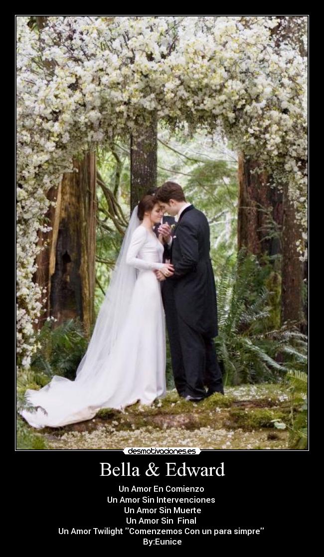 Bella & Edward - Un Amor En Comienzo 
Un Amor Sin Intervenciones 
Un Amor Sin Muerte
Un Amor Sin  Final 
Un Amor Twilight Comenzemos Con un para simpre 
By:Eunice