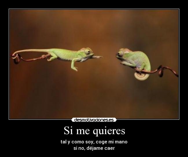 Si me quieres - tal y como soy, coge mi mano
si no, déjame caer