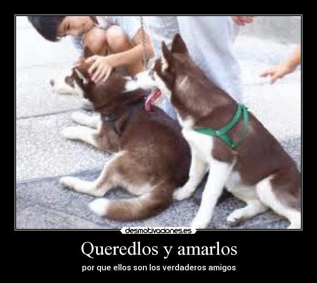 Queredlos y amarlos - 