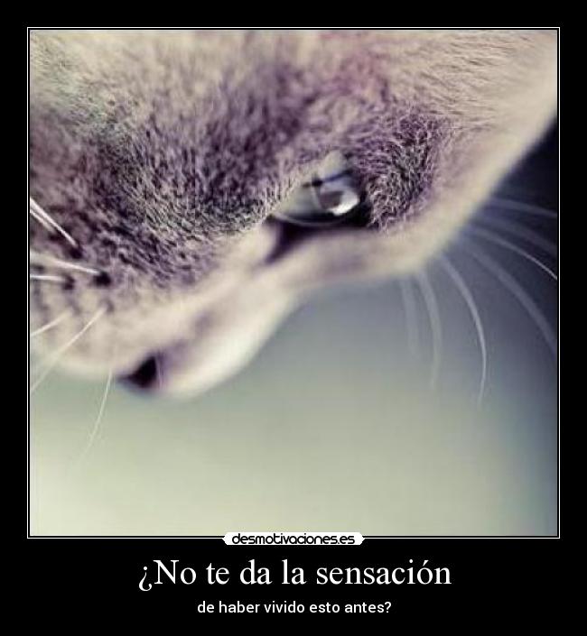¿No te da la sensación -