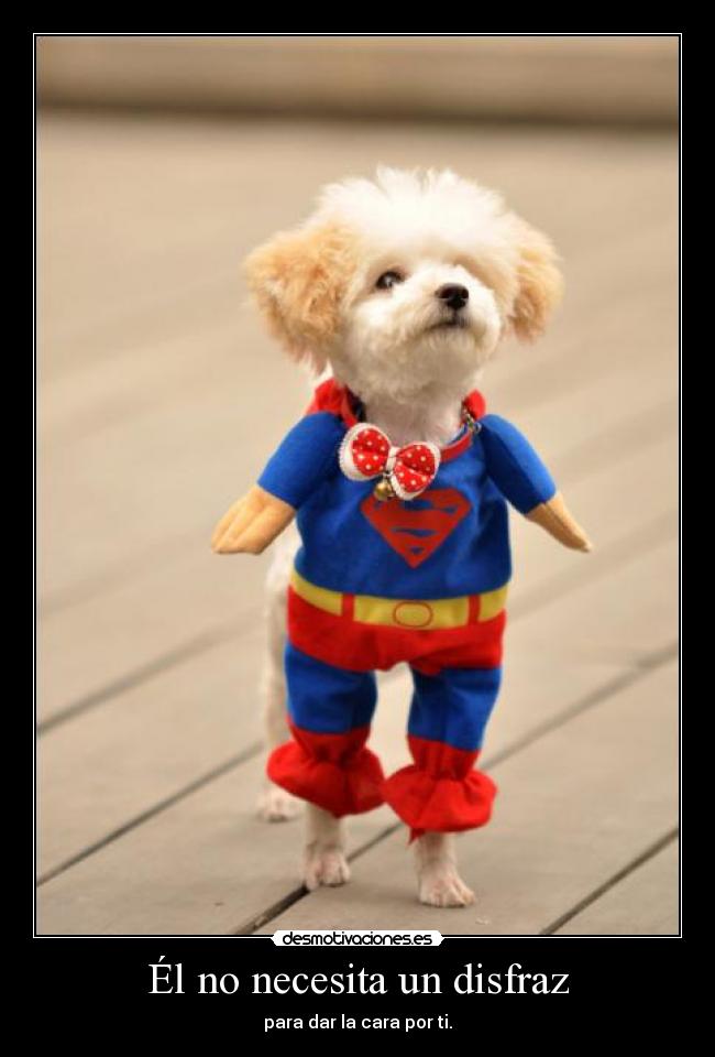 carteles wise mentalist0001 aunque parezca mentira este perro ninja lol desmotivaciones