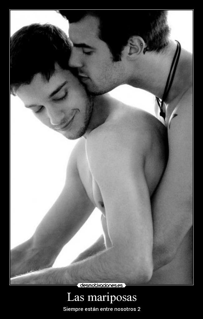 Las mariposas - Siempre están entre nosotros 2