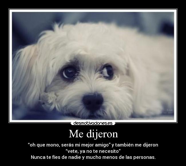 Me dijeron - “oh que mono, serás mi mejor amigo” y también me dijeron “vete, ya no te necesito”
Nunca te fíes de nadie y mucho menos de las personas.