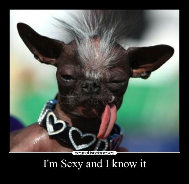 Im Sexy and I know it -