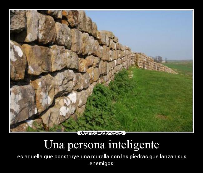 Una persona inteligente -