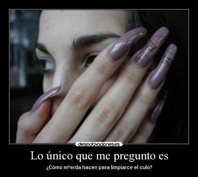 Lo único que me pregunto es -