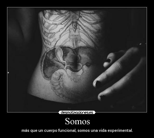 Somos - más que un cuerpo funcional, somos una vida experimental.