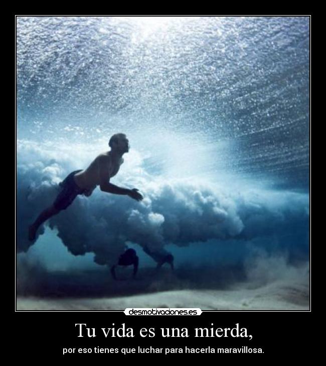 Tu vida es una mierda, -